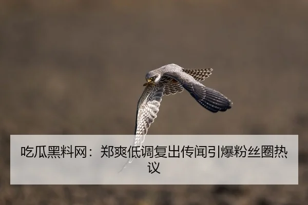 吃瓜黑料网：郑爽低调复出传闻引爆粉丝圈热议
